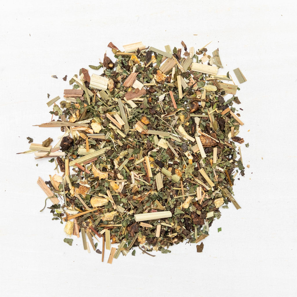Tears of Apollo - Lemon Orange Echinacea