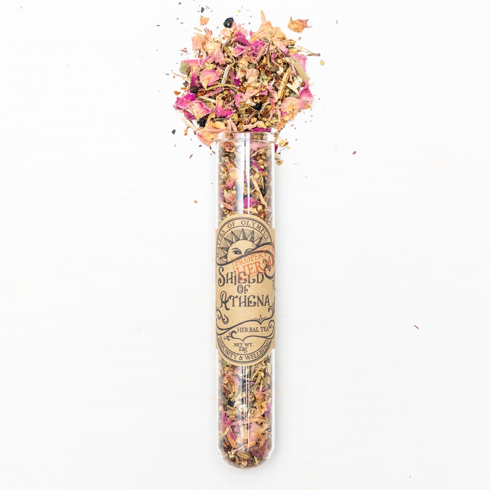 Shield Of Athena - Elderberry & Rose Rooibos