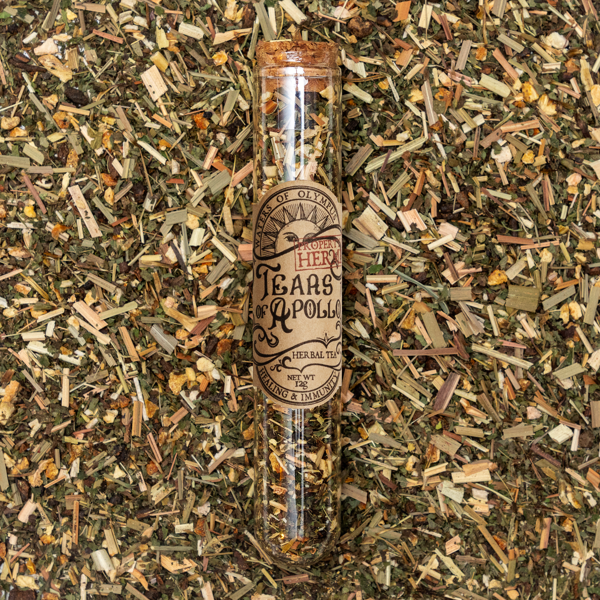 Tears of Apollo - Lemon Orange Echinacea